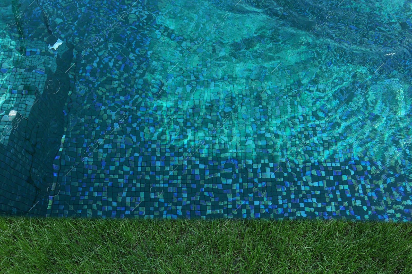 Swimming pool surrounded by green grass, top view Image of Swimming pool surrounded by green grass, top view
