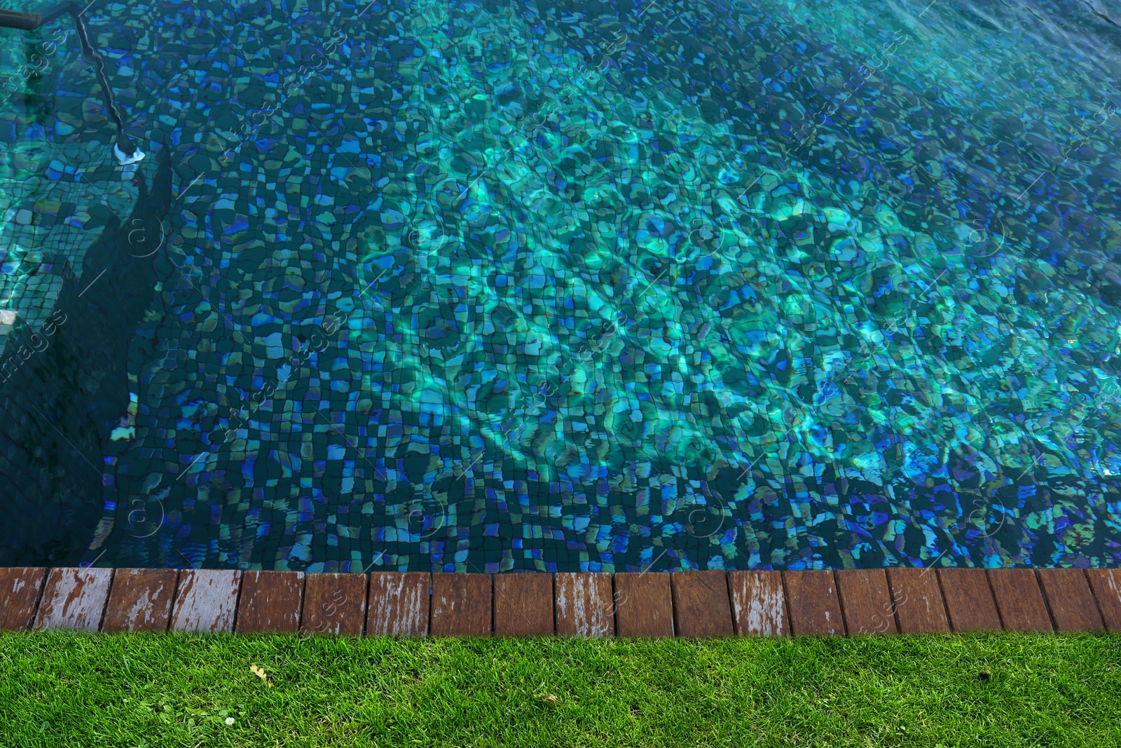 Swimming pool surrounded by green grass, top view Image of Swimming pool surrounded by green grass, top view