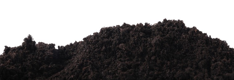Photo of Pile of fresh soil isolated on white