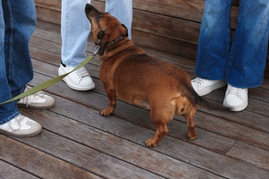 Photo of Walking with pet. Women with cute dog outdoors, closeup