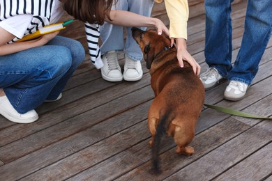 Photo of Walking with pet. Women stroking cute dog outdoors, closeup