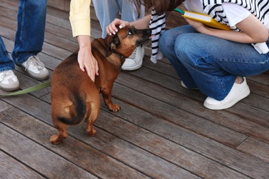 Photo of Walking with pet. Women stroking cute dog outdoors, closeup