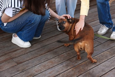 Photo of Walking with pet. Women stroking cute dog outdoors, closeup