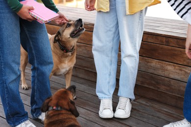 Photo of Walking with pet. Women with cute dogs outdoors, closeup