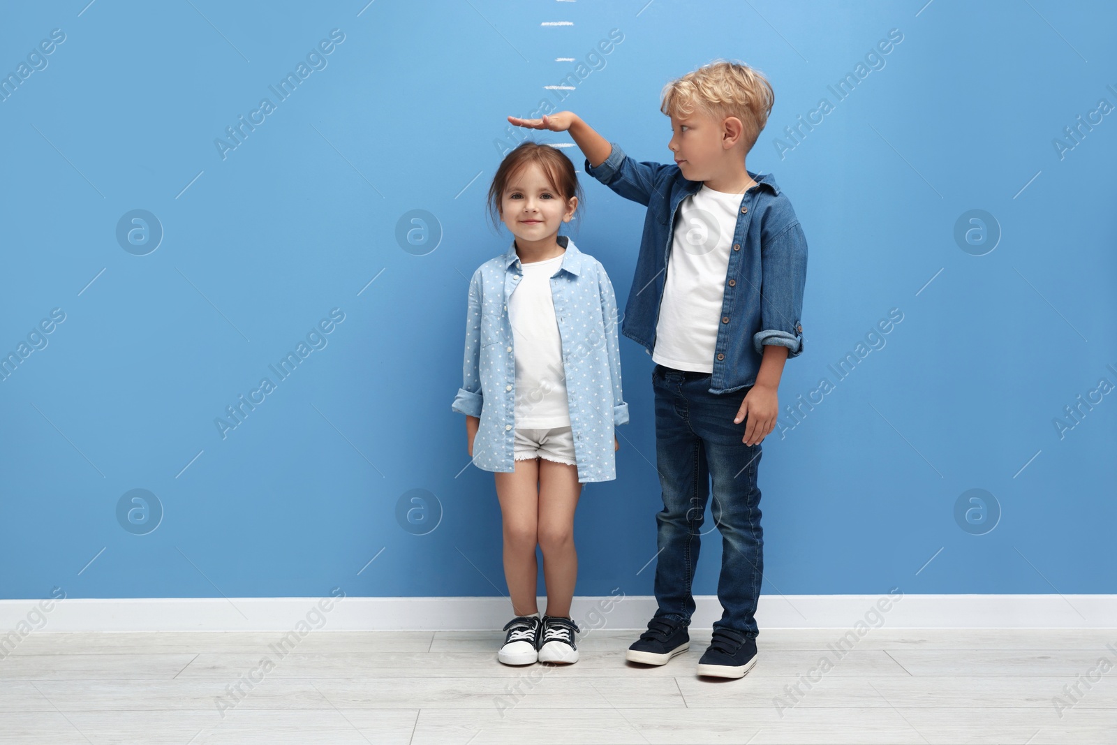 Photo of Cute little girl and boy measuring their heights near blue wall