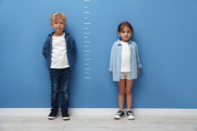 Photo of Cute little girl and boy measuring their heights near blue wall