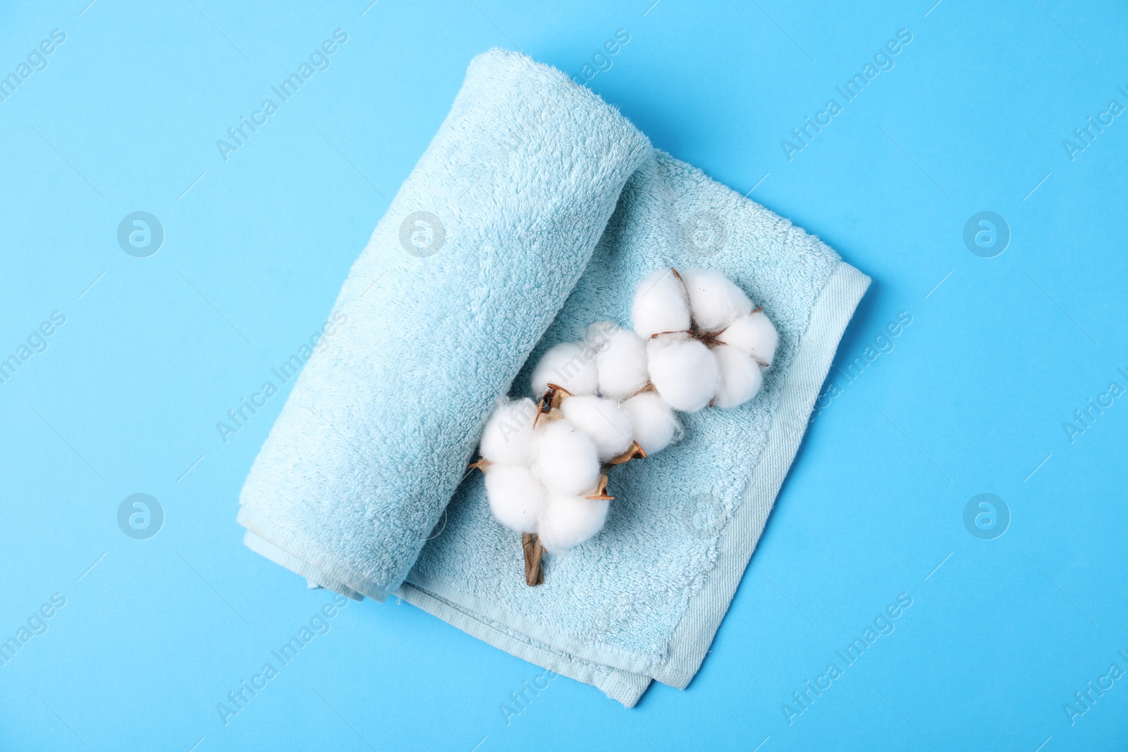 Photo of Clean terry towel and cotton flowers on light blue background, top view