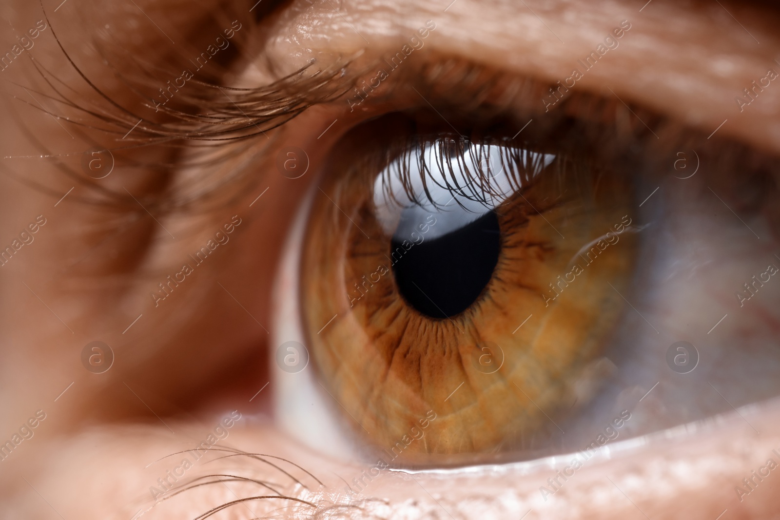 Photo of Macro view of woman with beautiful eyes