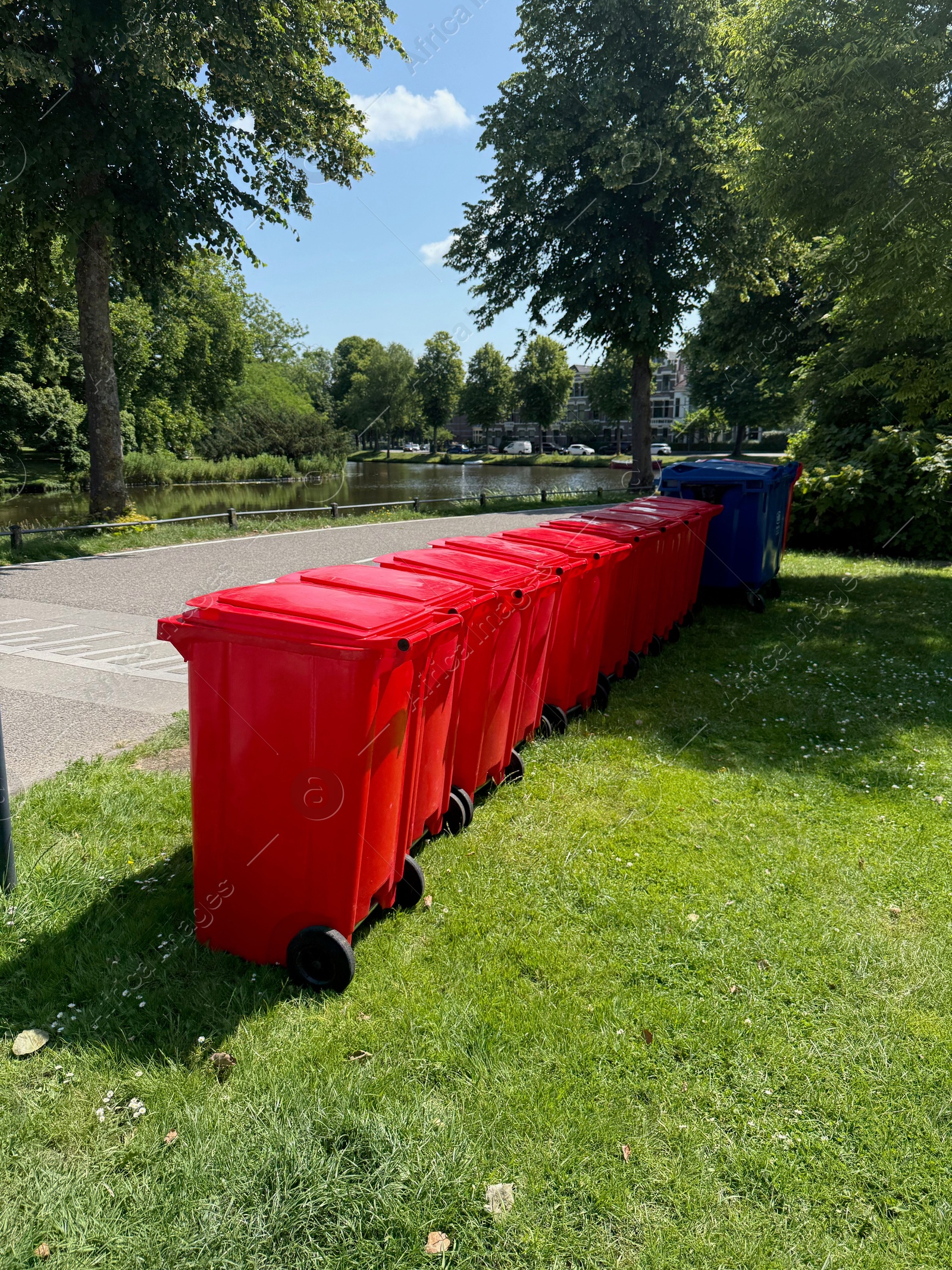 Many color trash bins on green grass in park Photo of Many color trash bins on green grass in park