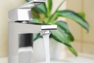 Photo of Water saving concept. Stream of water flowing from tap and houseplant indoors, selective focus