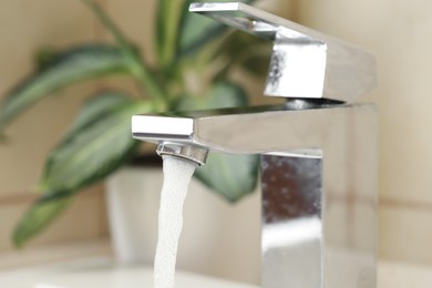 Photo of Water saving concept. Stream of water flowing from tap and houseplant indoors, selective focus