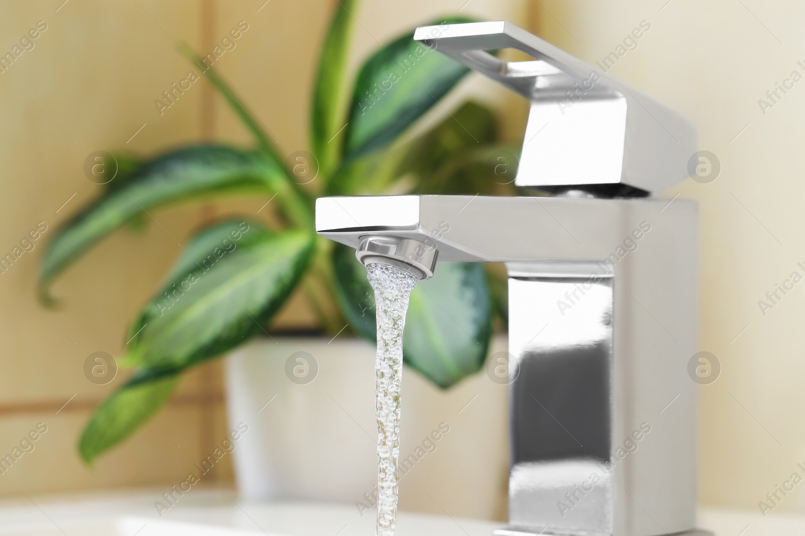 Photo of Water saving concept. Stream of water flowing from tap and houseplant indoors, selective focus. Space for text