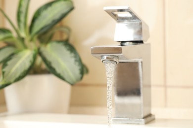 Photo of Water saving concept. Stream of water flowing from tap and houseplant indoors, selective focus