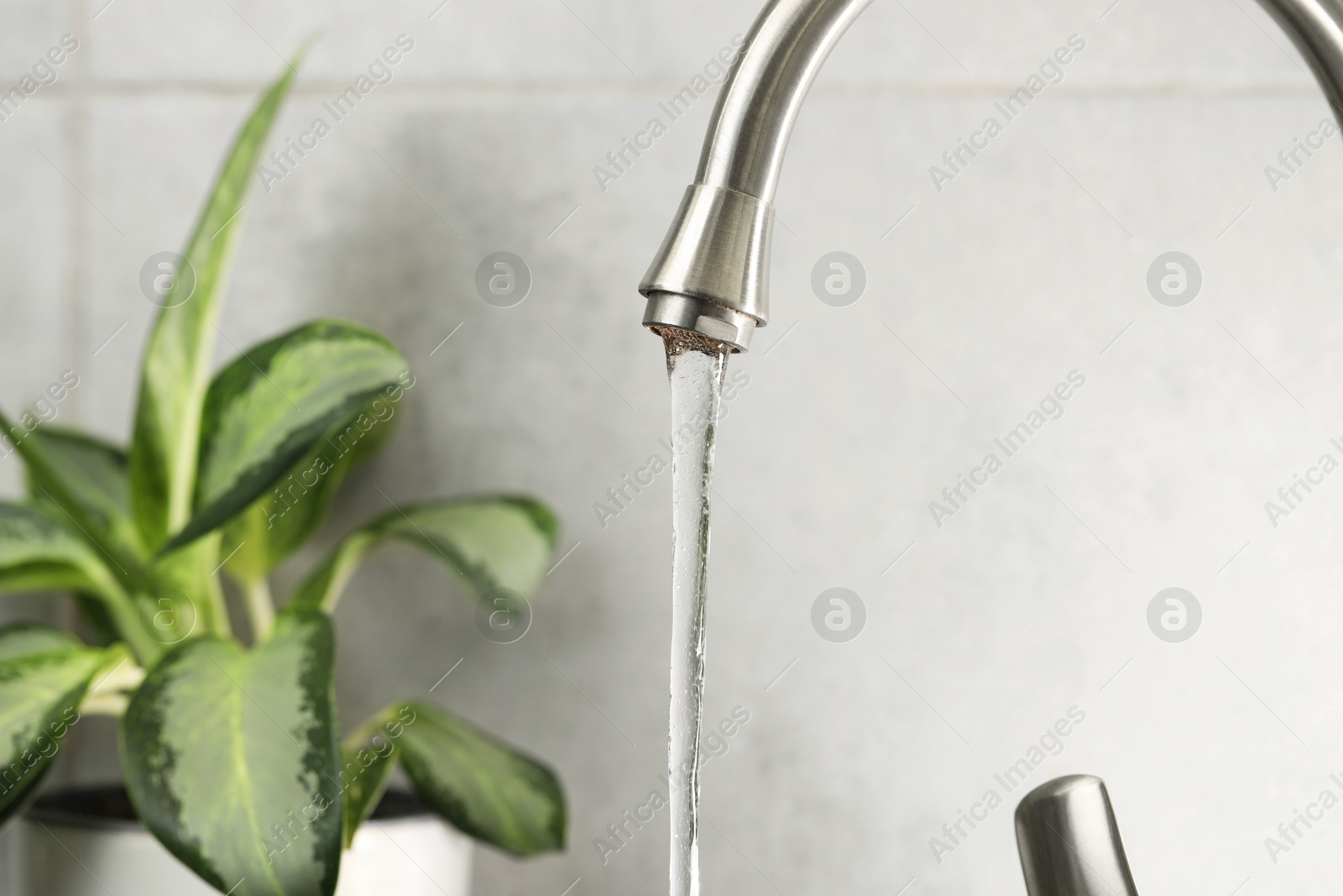 Photo of Water saving concept. Stream of water flowing from tap and houseplant indoors, selective focus