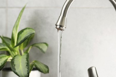 Photo of Water saving concept. Stream of water flowing from tap and houseplant indoors, selective focus