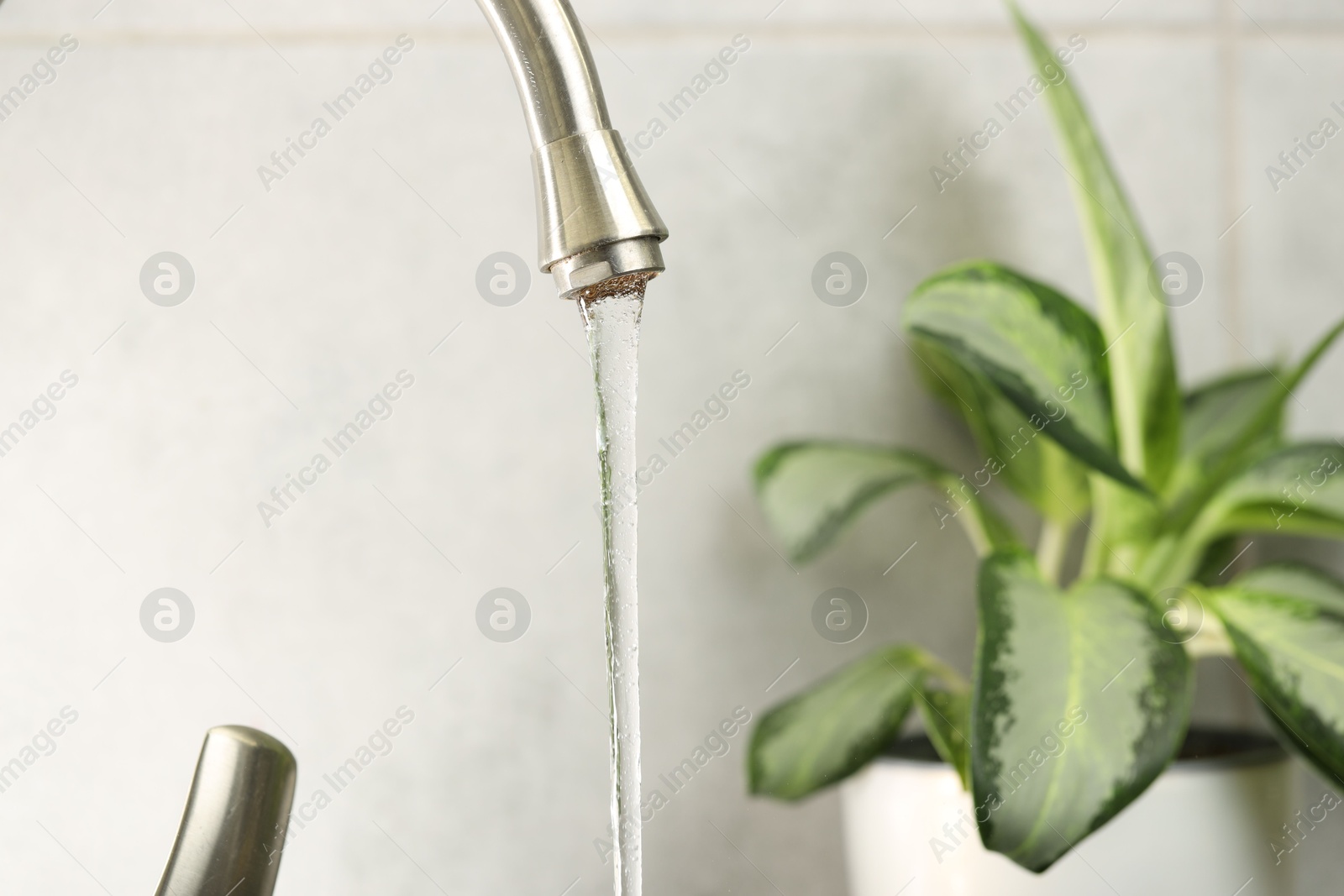 Photo of Water saving concept. Stream of water flowing from tap and houseplant indoors, selective focus