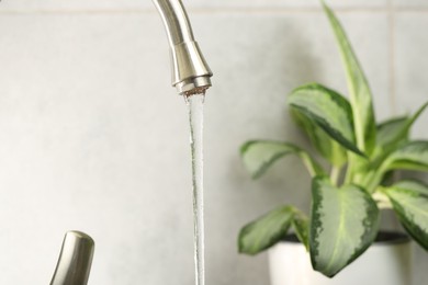 Photo of Water saving concept. Stream of water flowing from tap and houseplant indoors, selective focus