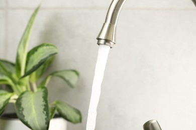 Photo of Water saving concept. Stream of water flowing from tap and houseplant indoors, selective focus