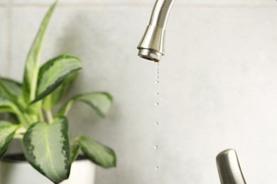 Photo of Water saving concept. Water dripping from tap and houseplant indoors, selective focus