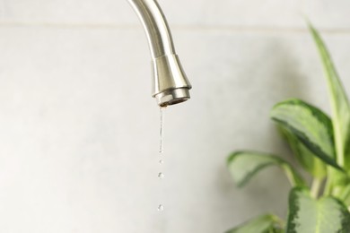 Photo of Water saving concept. Water dripping from tap and houseplant indoors, selective focus
