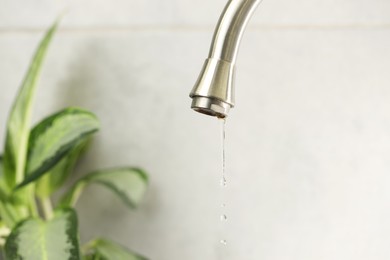 Photo of Water saving concept. Water dripping from tap and houseplant indoors, selective focus