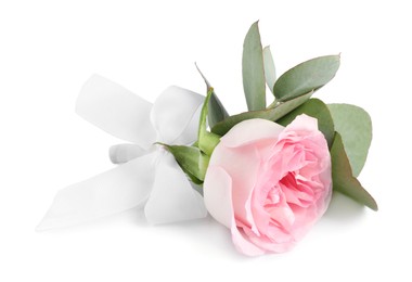 Photo of One stylish small boutonniere isolated on white