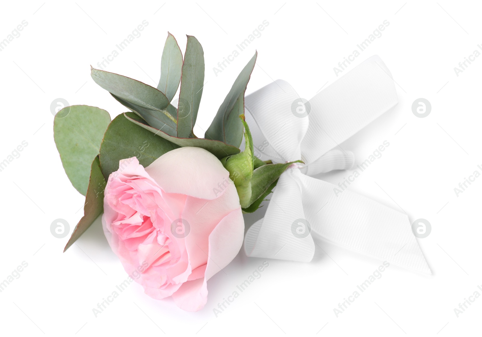 Photo of One stylish small boutonniere isolated on white