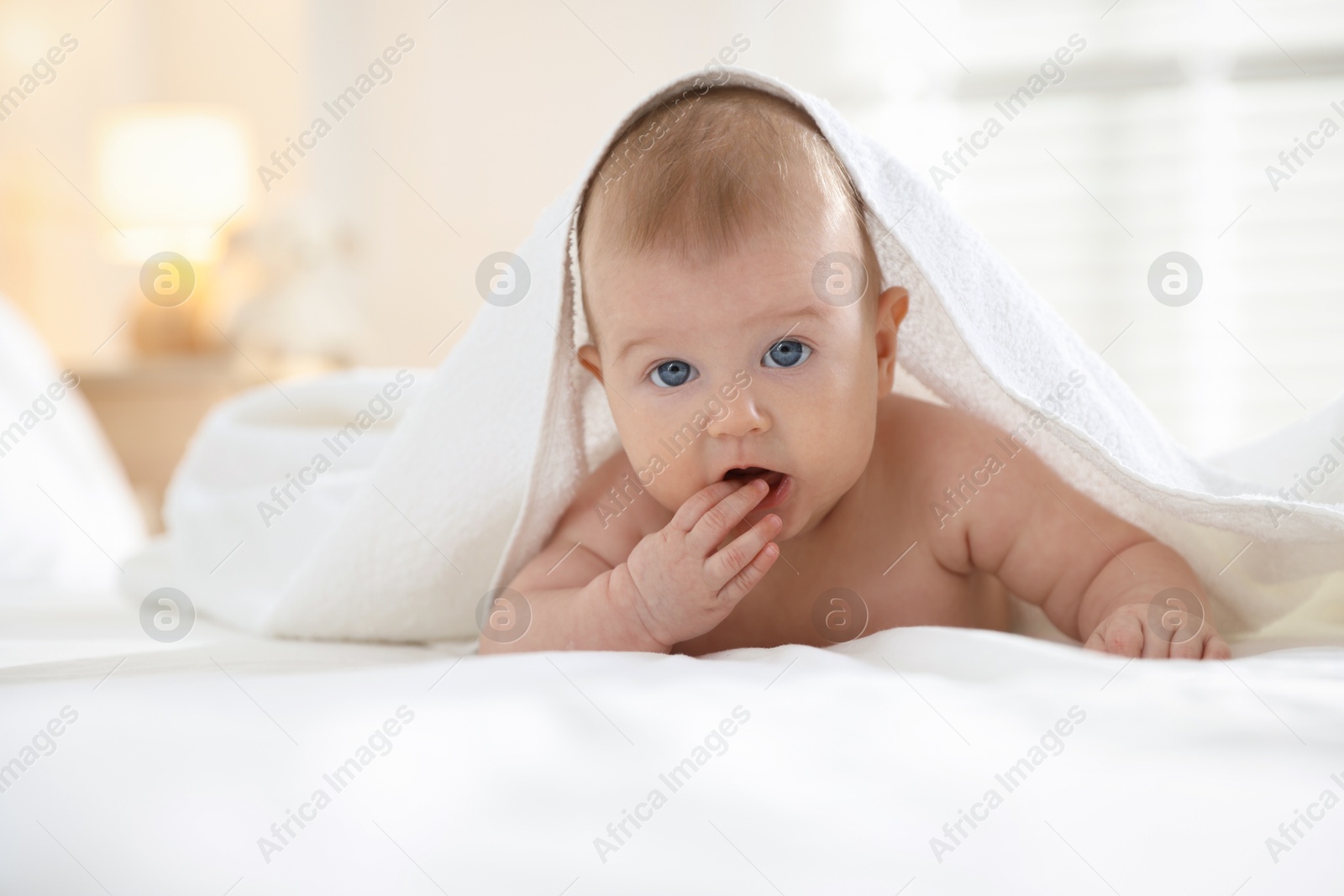 Photo of Cute baby covering with towel after bathing on bed, closeup