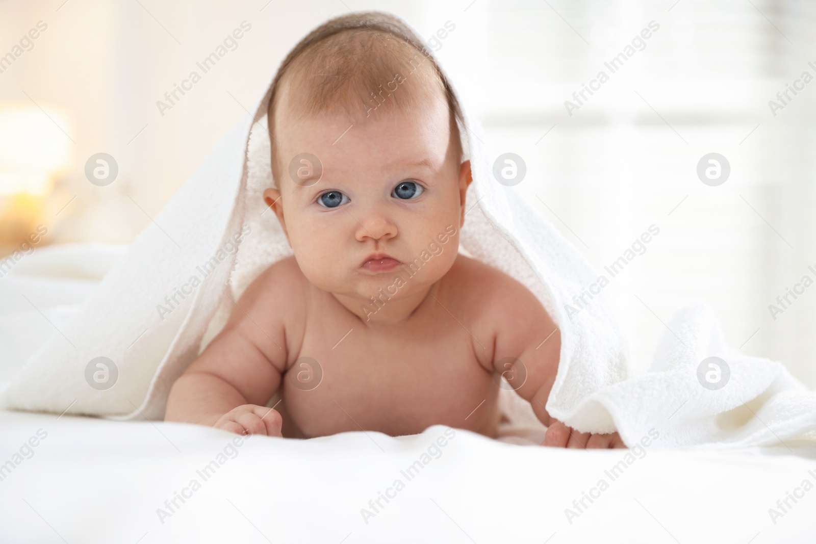 Photo of Cute baby covering with towel after bathing on bed, closeup