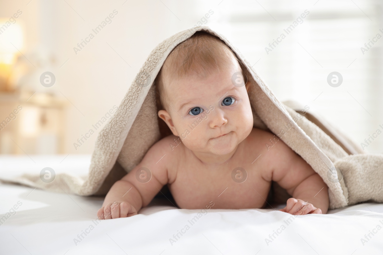 Photo of Portrait of cute baby covering with beige towel after bathing on bed, closeup