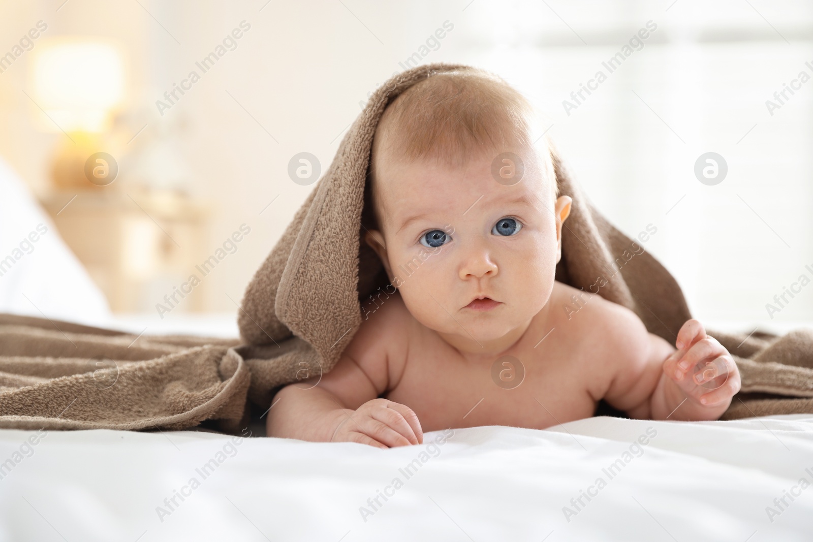 Photo of Portrait of cute baby covering with brown towel after bathing on bed, closeup