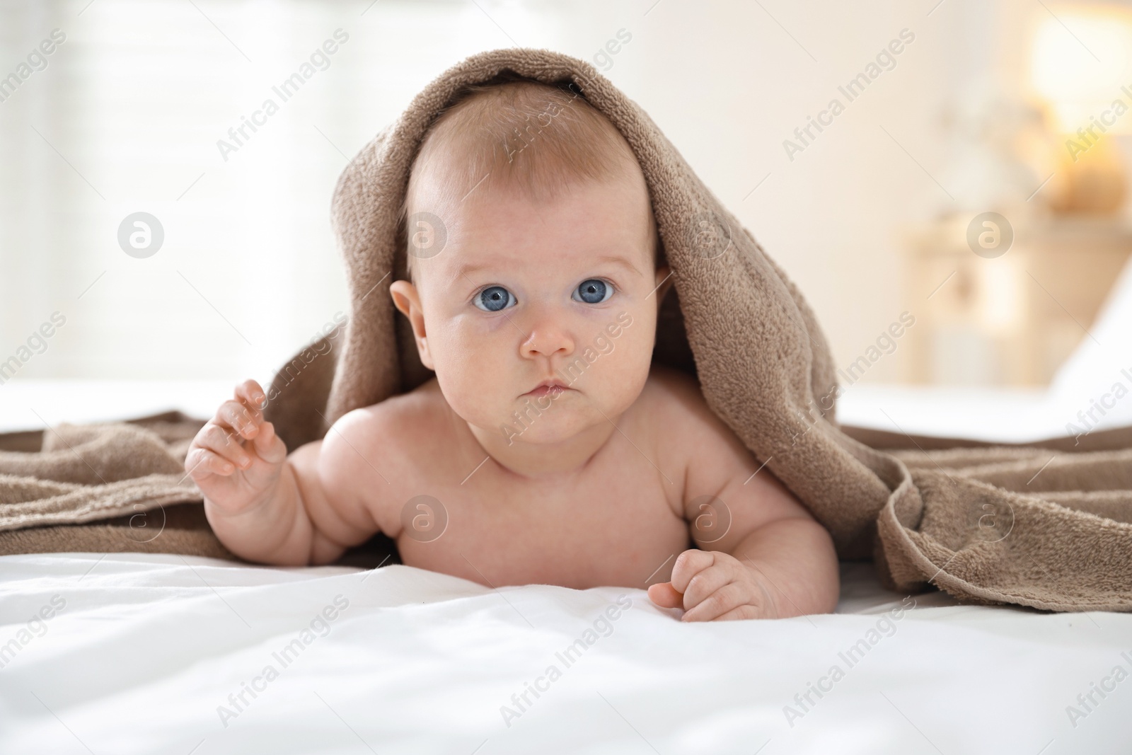 Photo of Portrait of cute baby covering with brown towel after bathing on bed, closeup