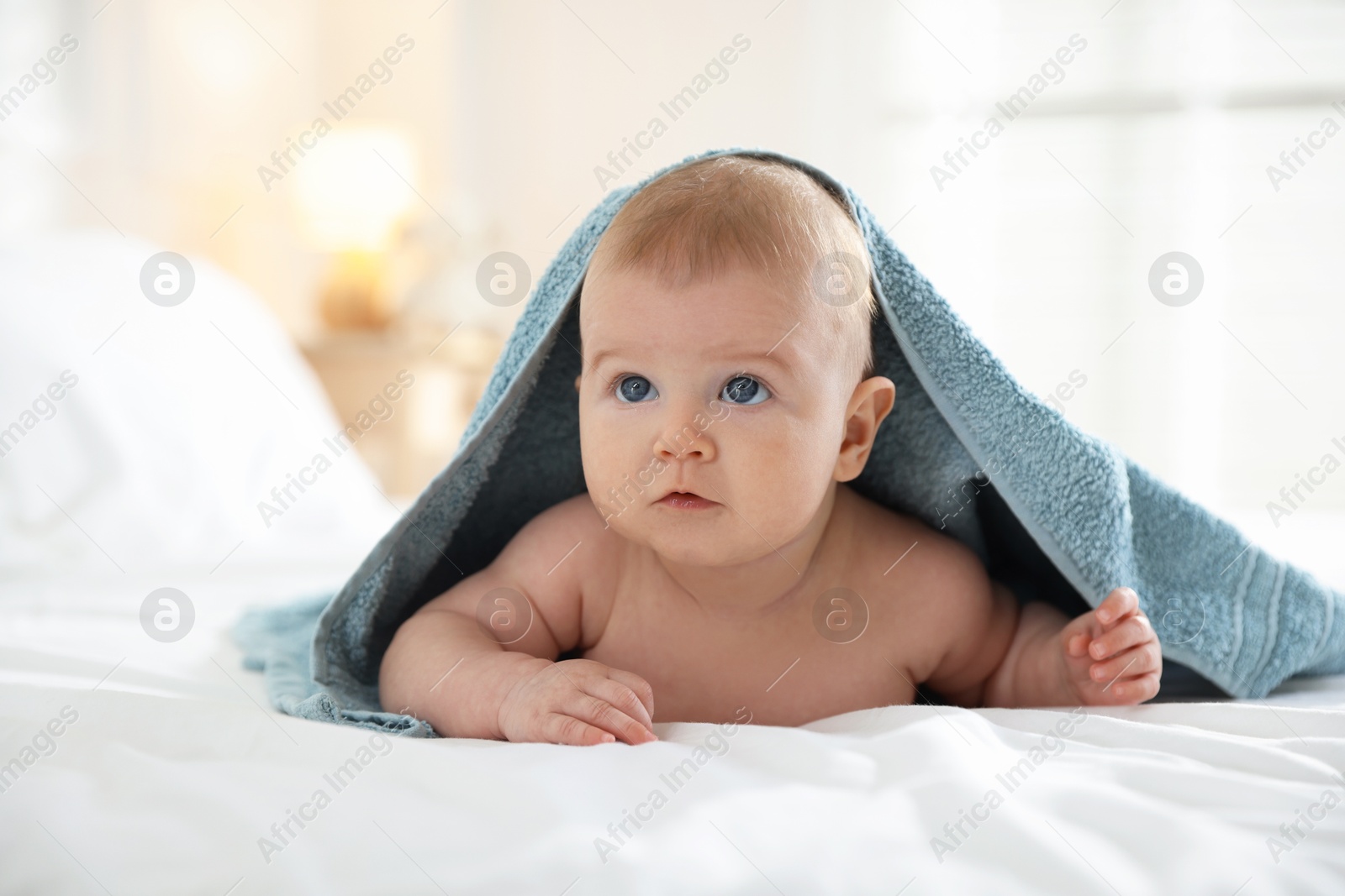 Photo of Cute baby covering with blue towel after bathing on bed, closeup