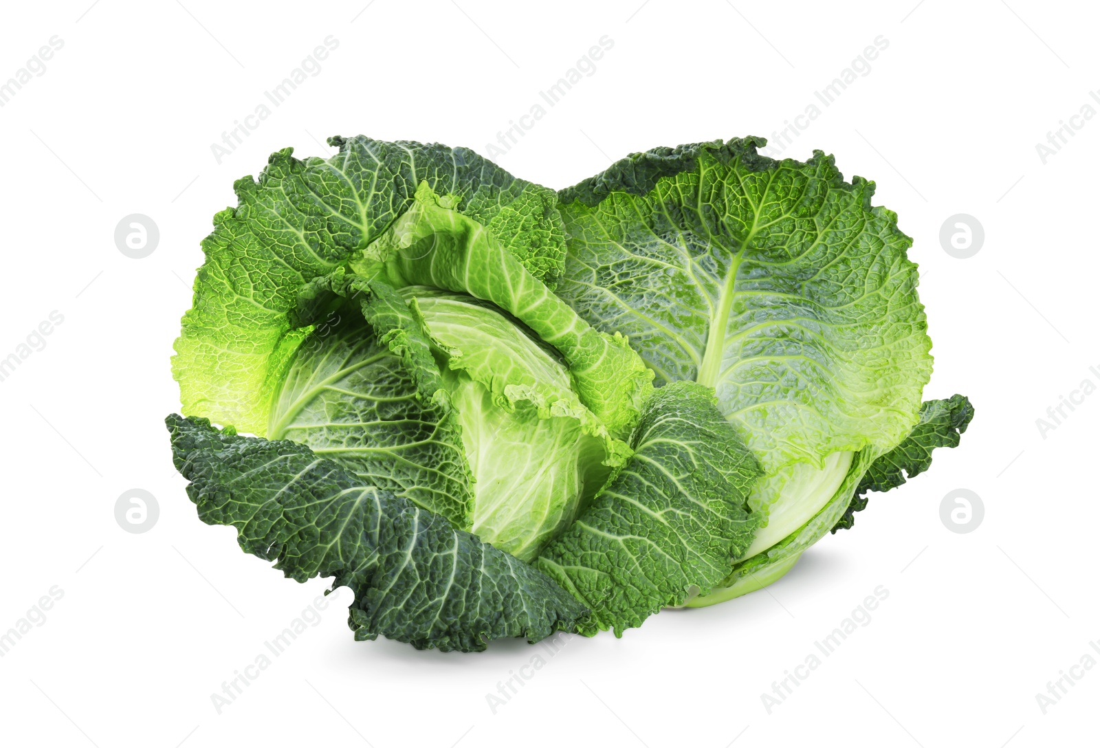 Image of Fresh Savoy cabbage isolated on white. Leaf vegetable