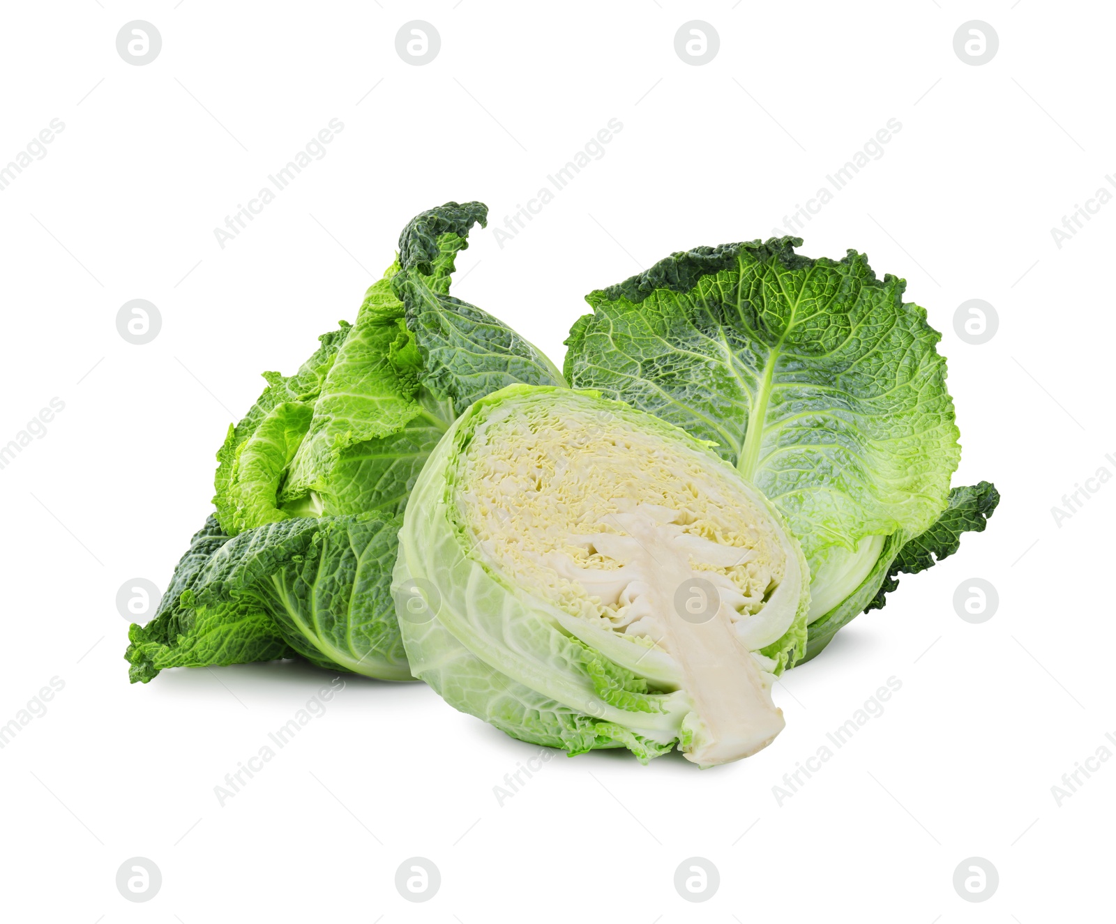 Image of Fresh Savoy cabbage isolated on white. Leaf vegetable