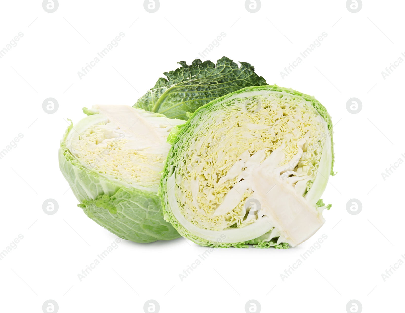 Image of Fresh Savoy cabbage isolated on white. Leaf vegetable