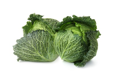 Image of Fresh Savoy cabbage isolated on white. Leaf vegetable