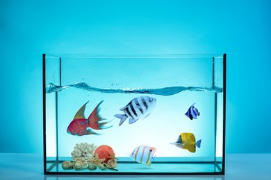 Image of Glass aquarium with tropical fish against light blue background