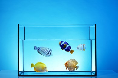 Image of Glass aquarium with tropical fish against blue background