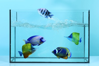 Image of Glass aquarium with tropical fish against white background