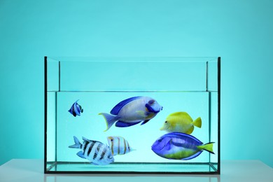 Image of Glass aquarium with tropical fish against turquoise background