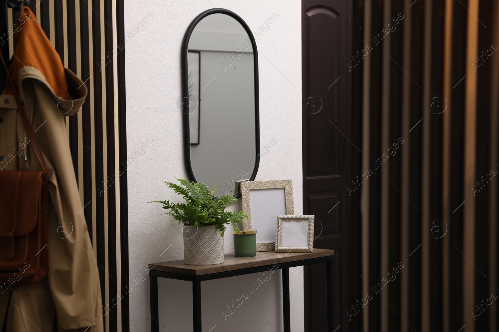 Photo of Beautiful fresh potted fern and empty frames on table in hallway