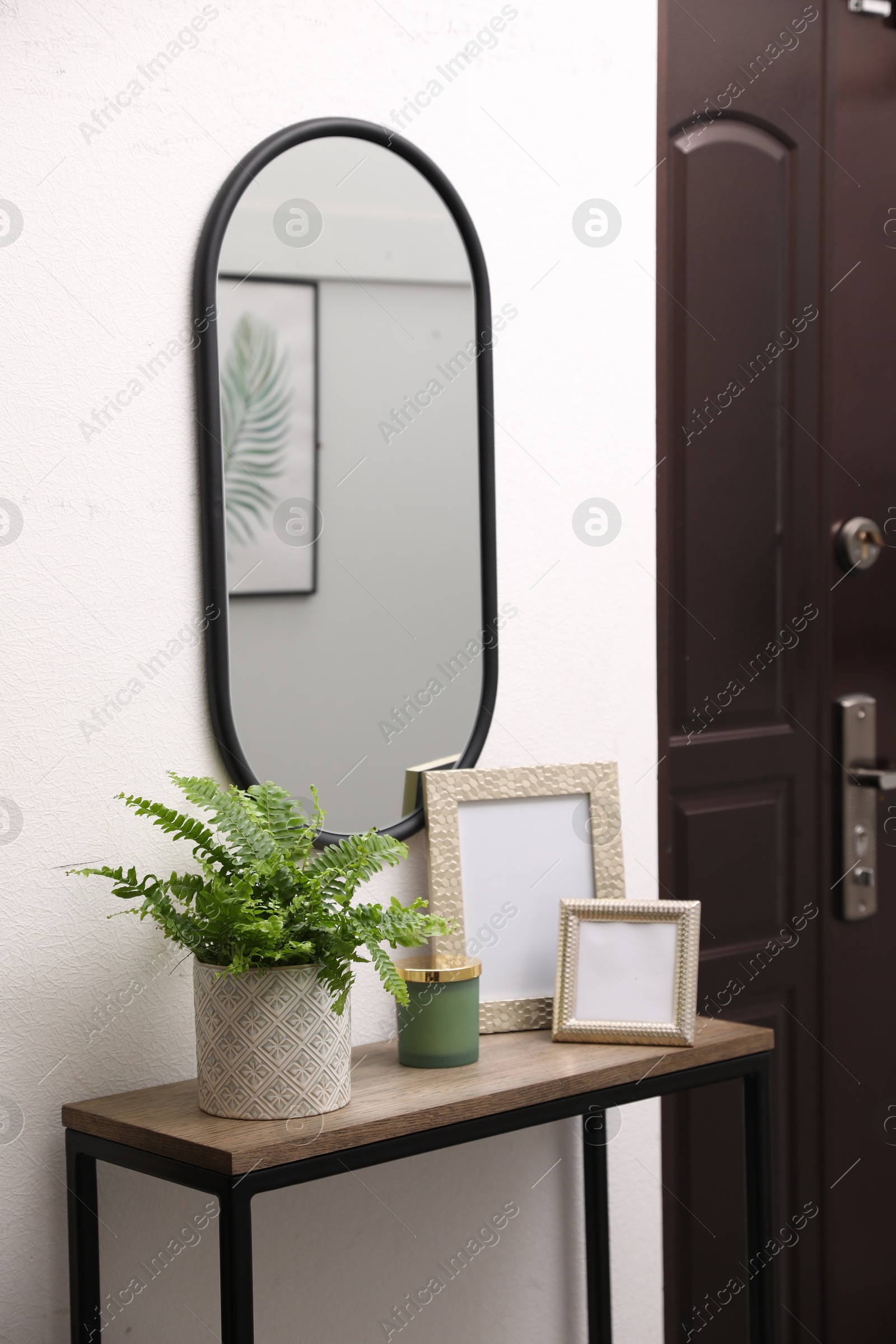 Photo of Beautiful fresh potted fern and empty frames on table in hallway