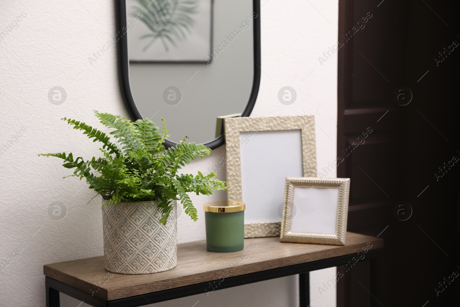Photo of Beautiful fresh potted fern and empty frames on table in hallway
