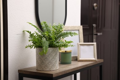 Photo of Beautiful fresh potted fern and empty frames on table in hallway