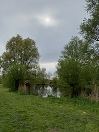 Photo of View of pond, trees and green grass in beautiful park