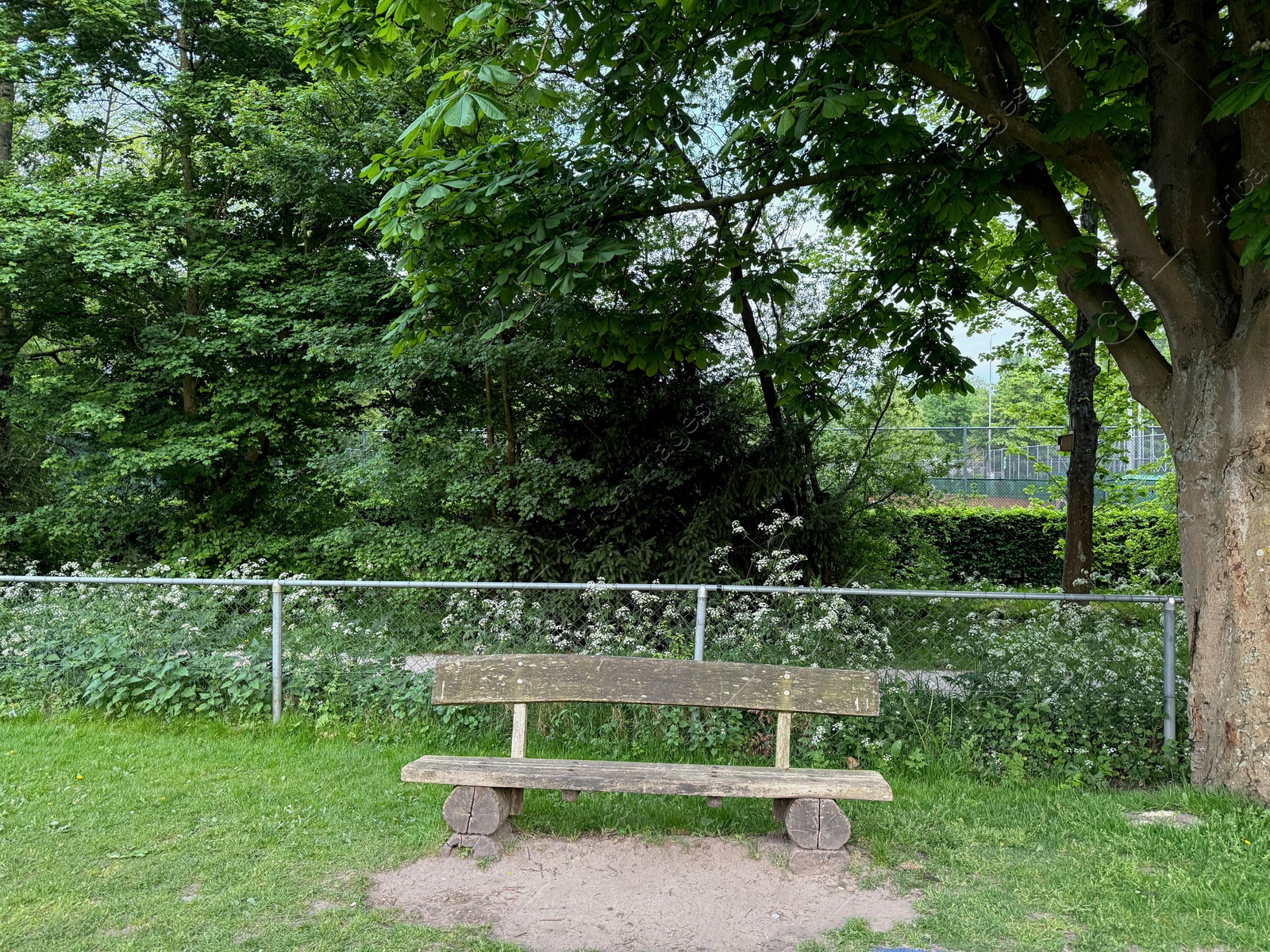 Photo of Empty wooden bench near fence in beautiful park