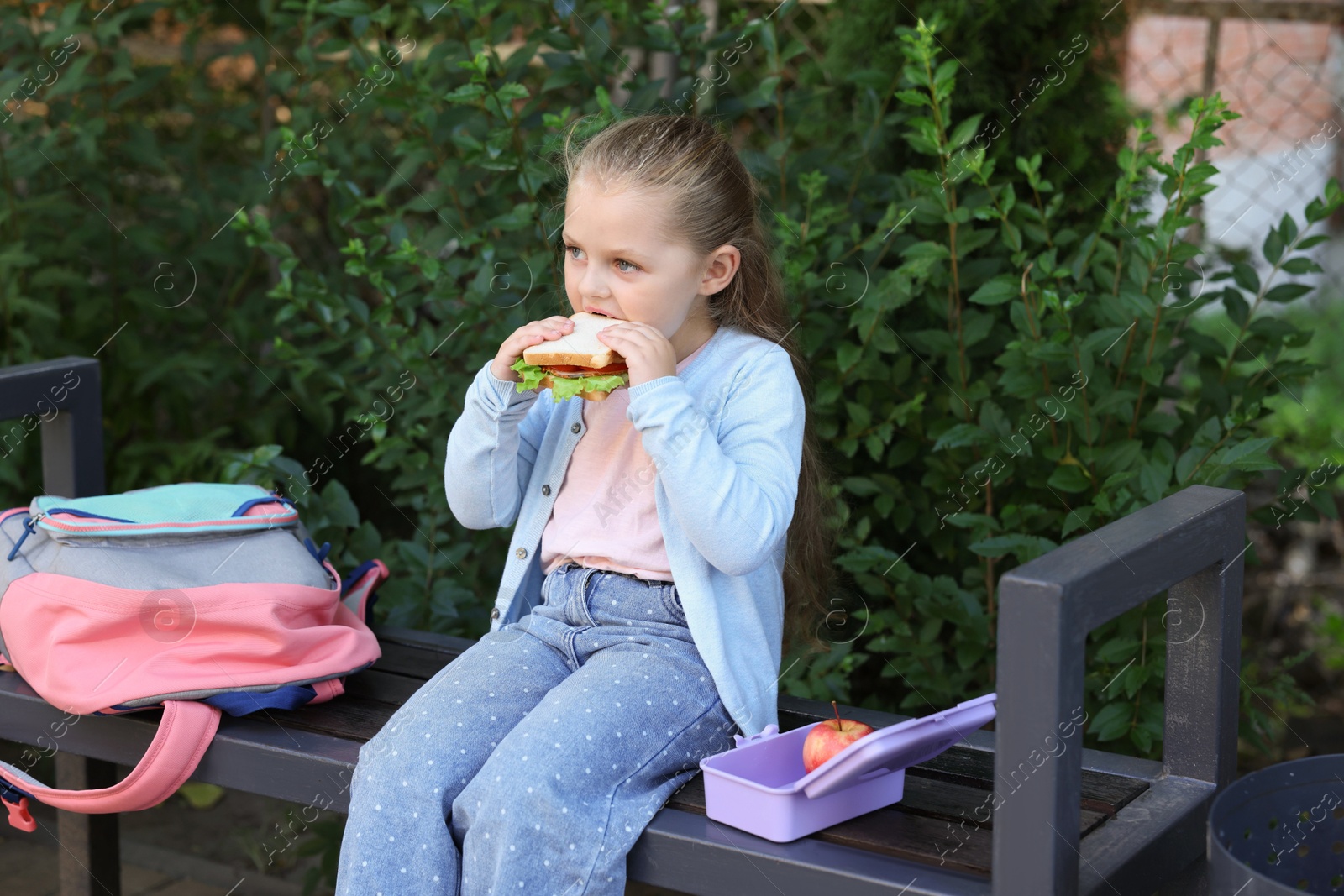 Photo of Cute little girl eating sandwich on bench outdoors. School lunch