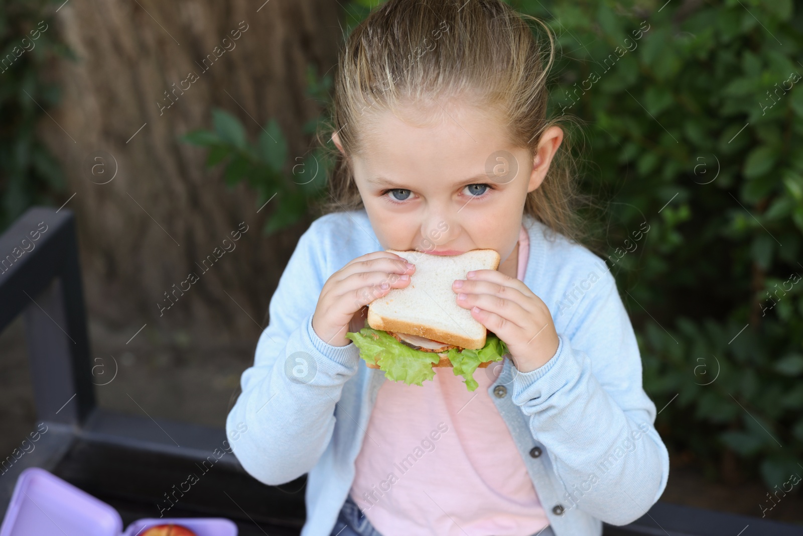 Photo of Cute little girl eating sandwich on bench outdoors. School lunch