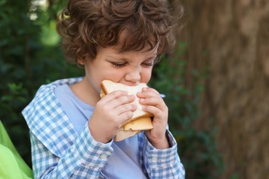 Photo of Cute little boy eating sandwich outdoors, space for text. School lunch